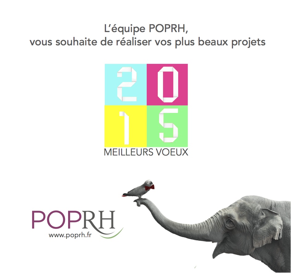 Voeux 2015
